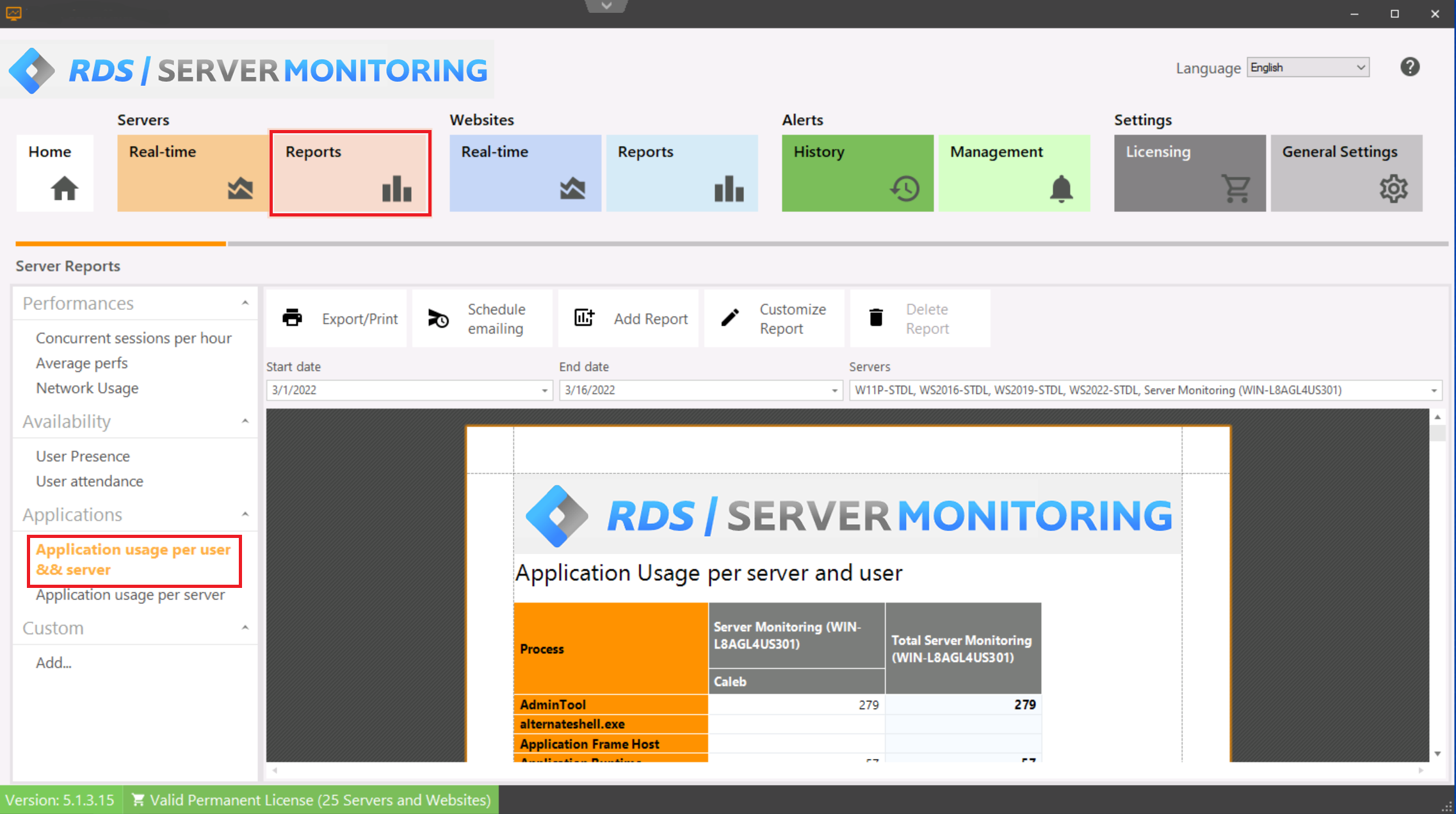 Application Usage per server and user Report Screenshot